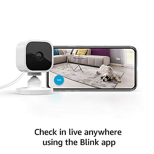 Smart camera next to a smartphone showing a dog on the screen.